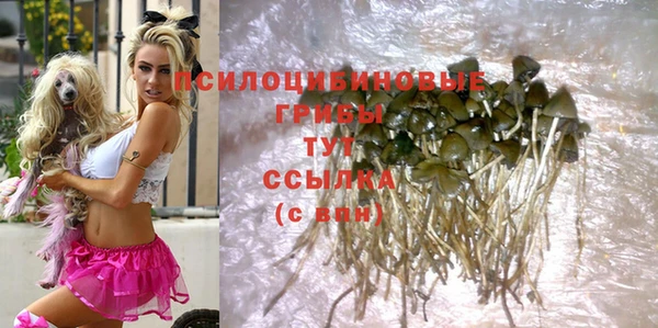 мдпв Бронницы