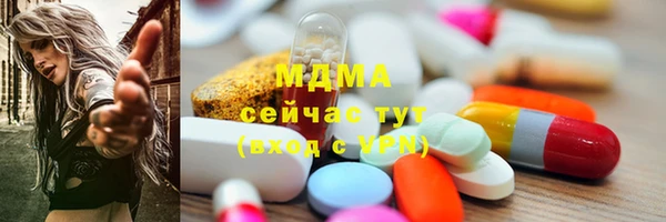 МДПВ Бородино