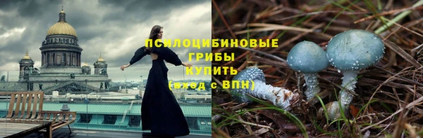 мдпв Бронницы
