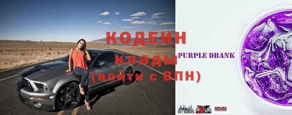 МДПВ Бородино