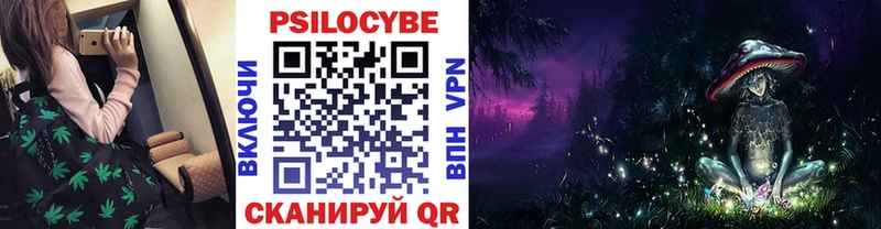 Купить закладки  Афипский  Псилоцибиновые грибы Psilocybe 